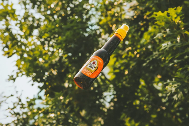 an upside down bottle of beer floating from a tree