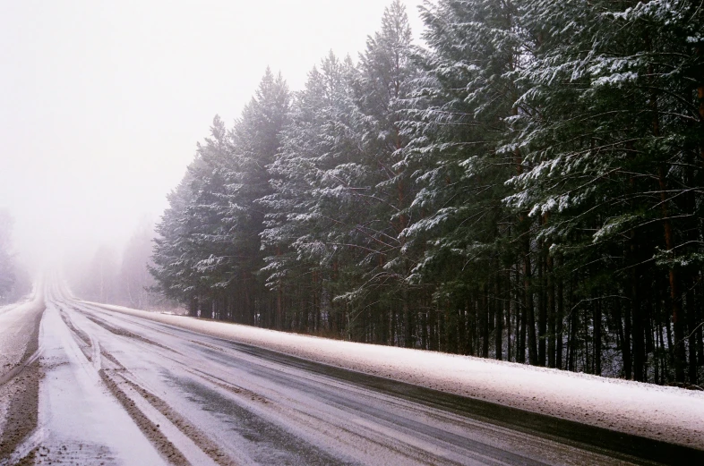 an asphalt road near a snowy forest