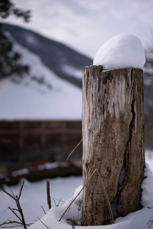 an old tree stump with snow piled up on top