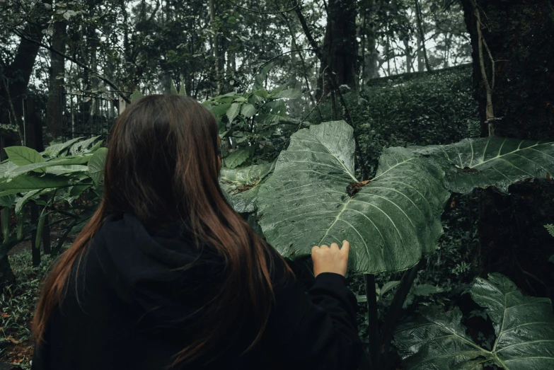 woman looking over lush green plants in the forest