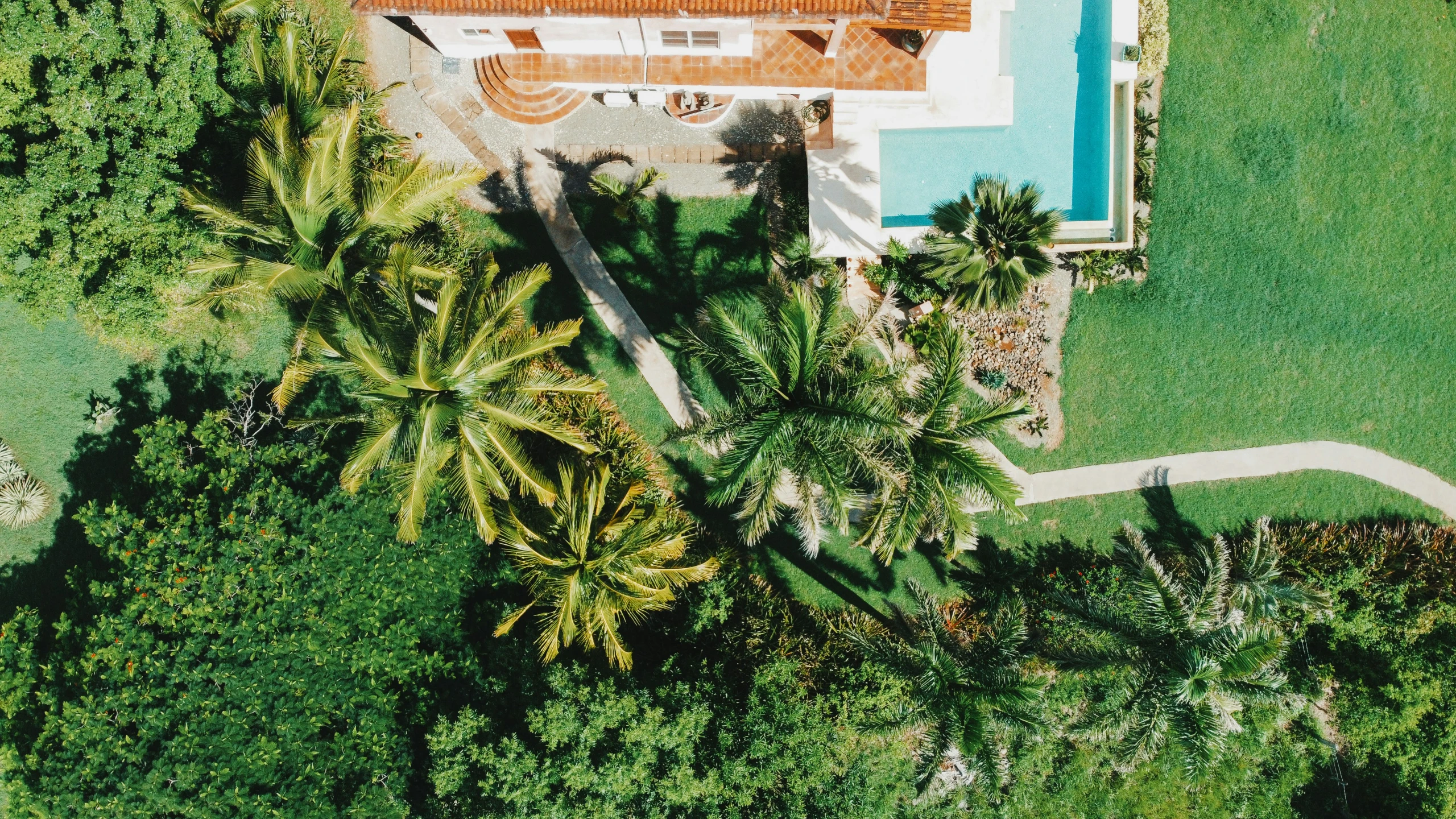 aerial s of a house from above and surrounding the trees