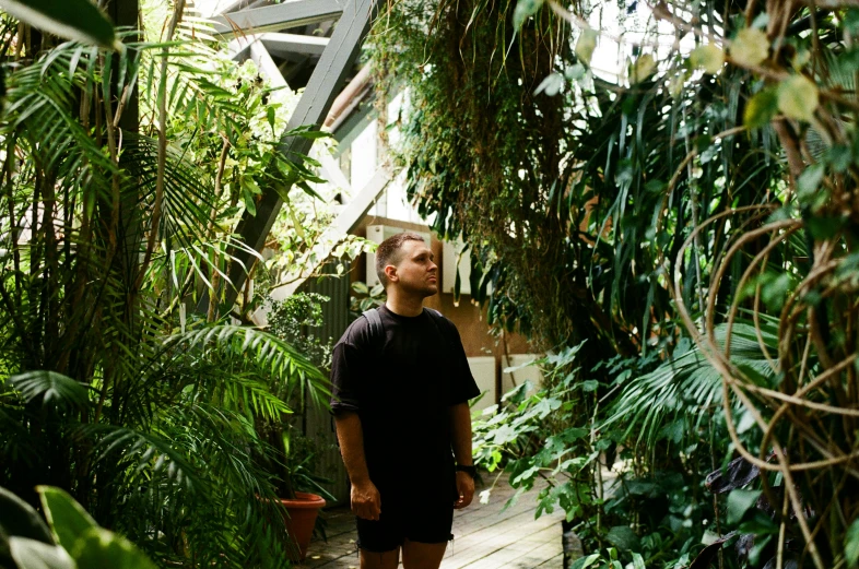 a man standing on a wooden walkway among trees