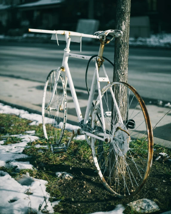 a bike that is leaning on a tree