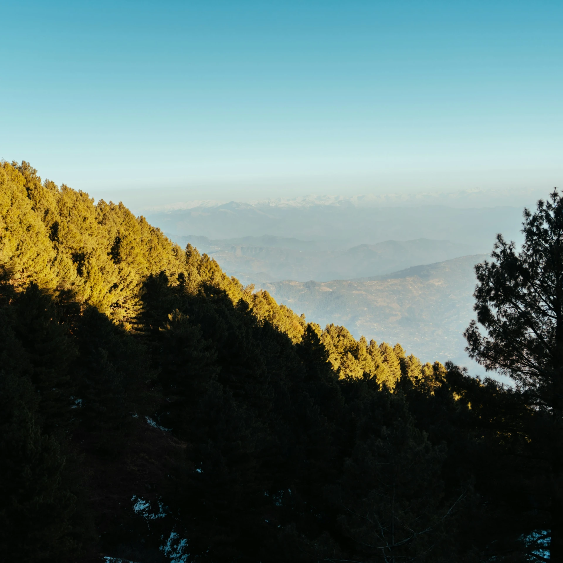 a large group of mountains on the horizon with trees in silhouette