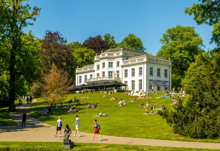 many people lounge on grass near some trees