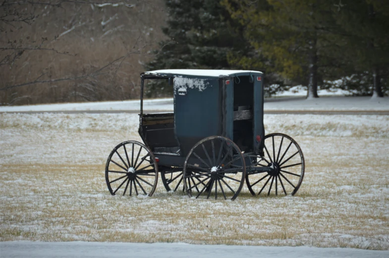 there is a horse drawn carriage on the snow