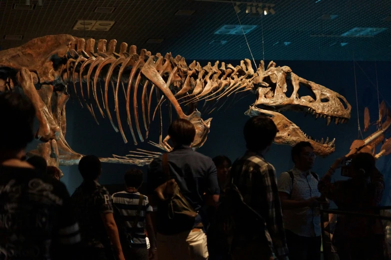 people are standing near an adult dinosaur skeleton in a museum