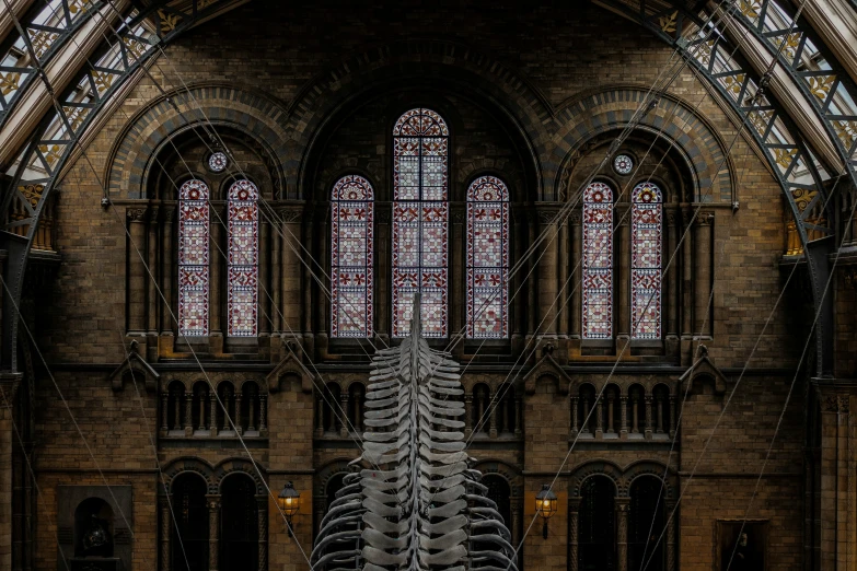 a large skeleton in a very big cathedral