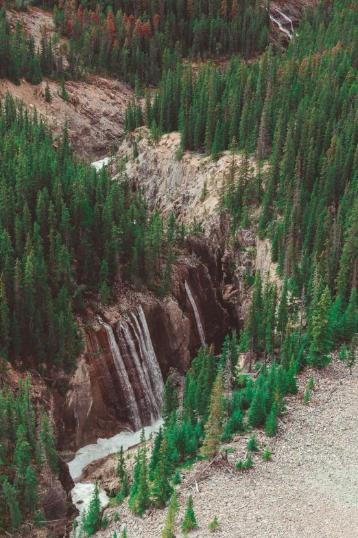 a person walking in the forest near some rocks