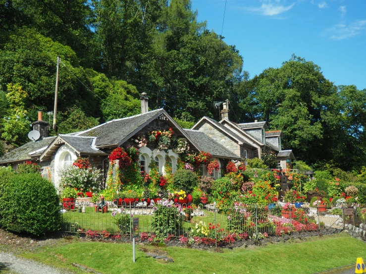 a pretty house with flowers growing on the roof