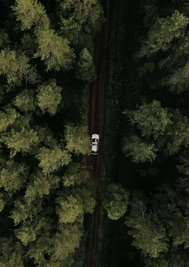 an aerial view of a jeep driving through the woods