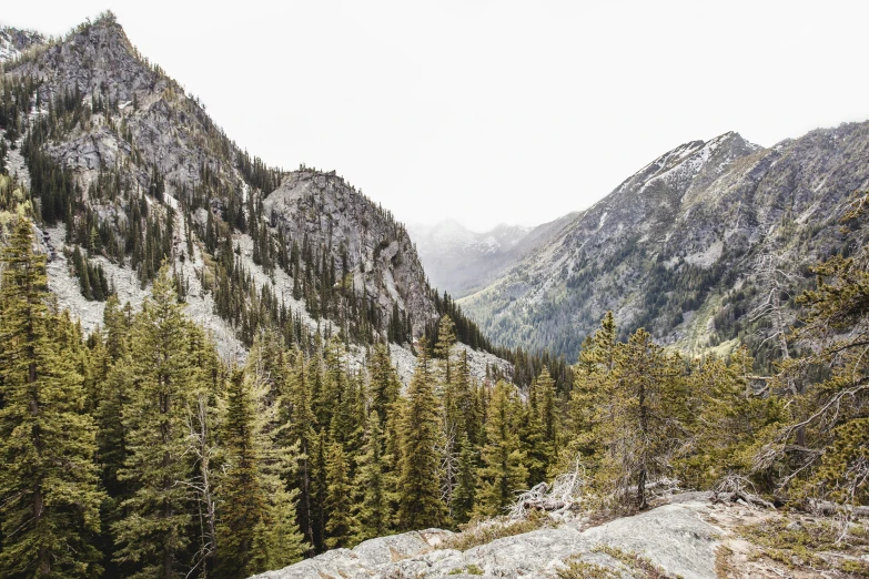 there is a mountain view with many trees