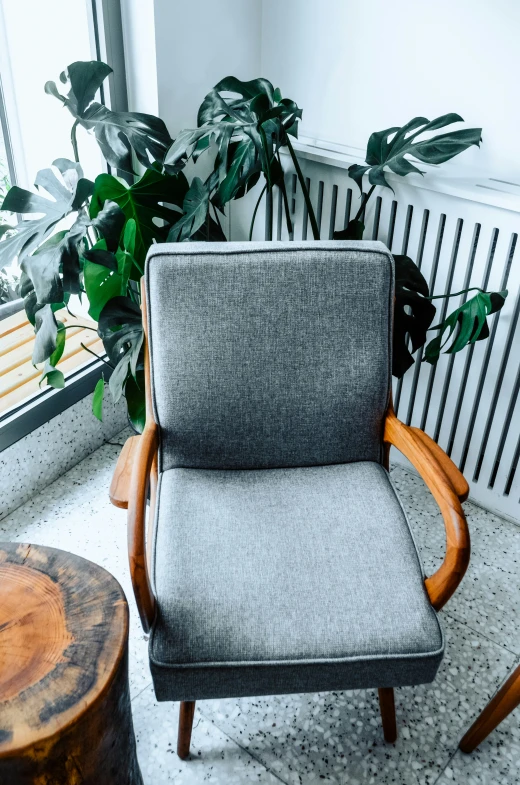 a chair next to a potted plant