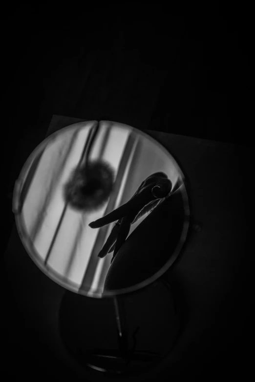 black bird perched on the edge of a table