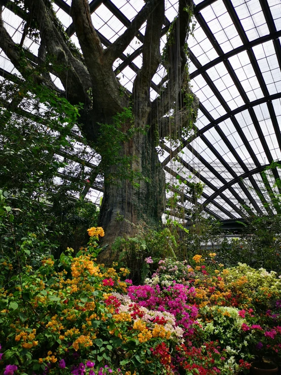 colorful flowers and trees grow inside an elaborate, greenhouse