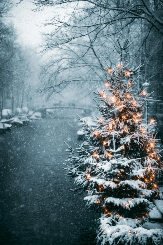 a lit christmas tree in a snow covered area