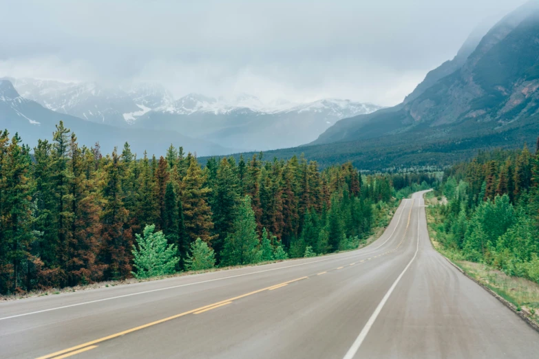 the road is empty and empty with many trees on both sides