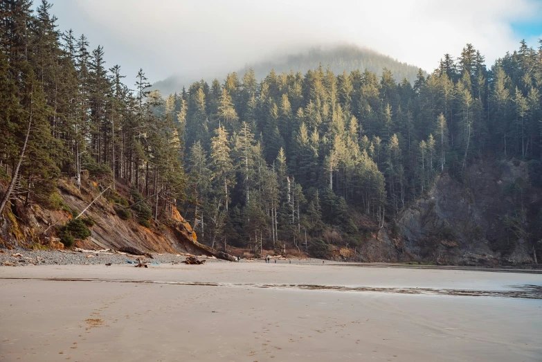 a beach area with mountains in the background