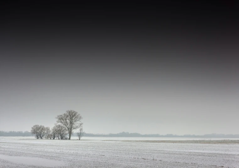 three trees sitting in the middle of an open field