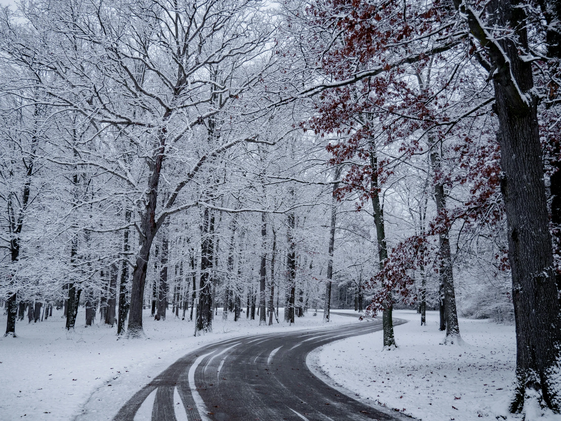 a road runs through some trees in the winter