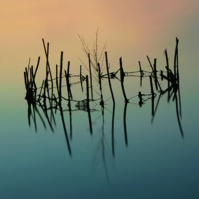 water reflections are shown on the surface of the water