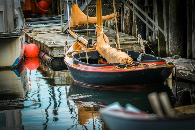 a dog sticking his tongue out of the boat in the water