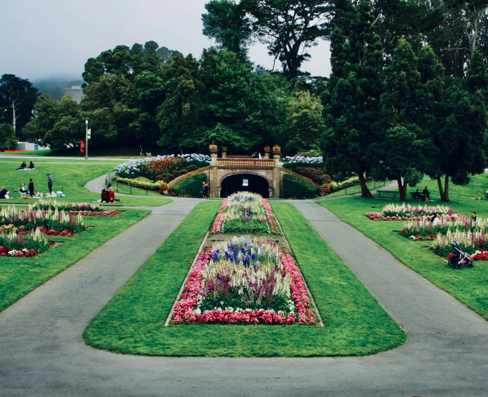 a long flower bed sitting next to a walkway