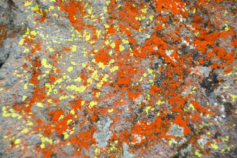 close up picture of a gray and yellow granite