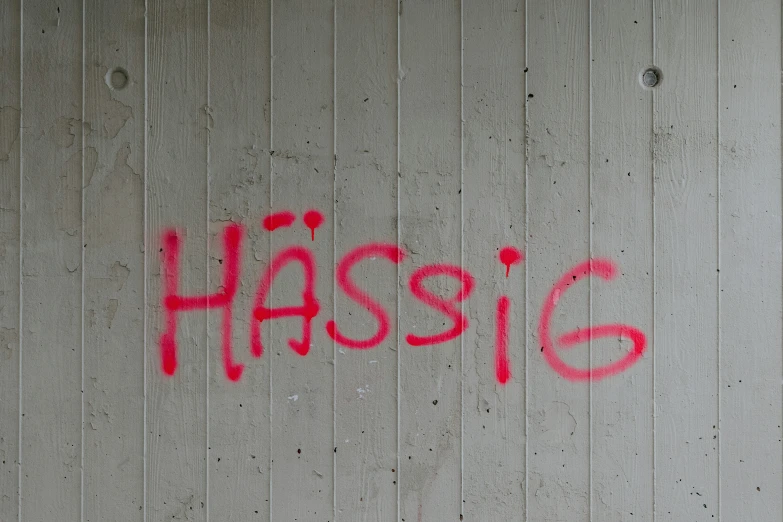 a sidewalk with red spray paint that reads hassig