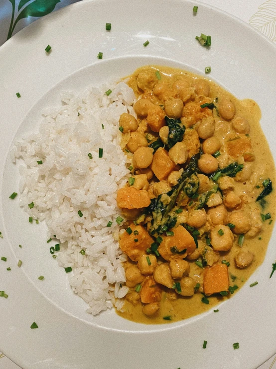 a meal of chicken, broccoli, and white rice