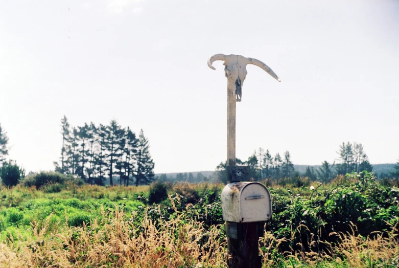 an old mailbox in a field with a large bird head