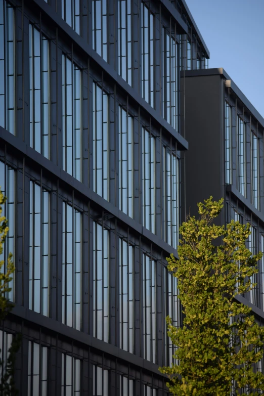 a building that has windows in front of it