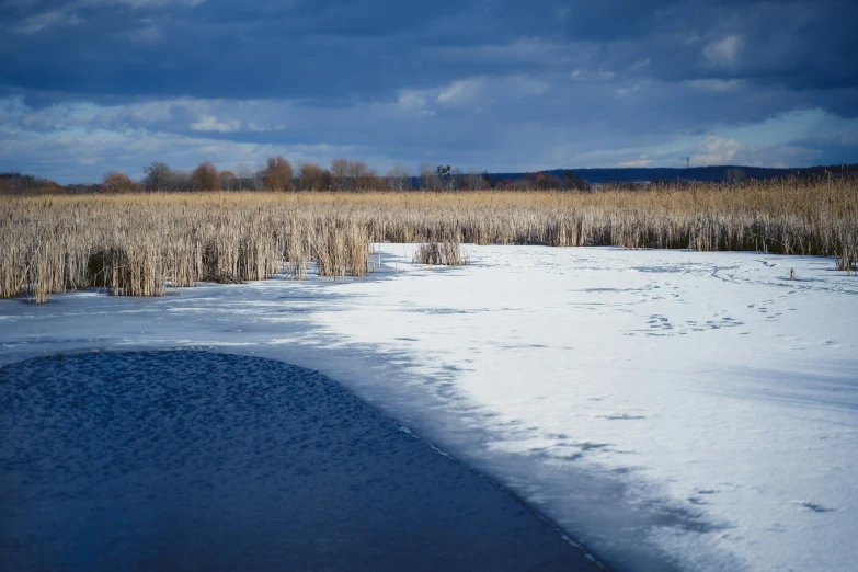 a field covered in snow near the side of the road