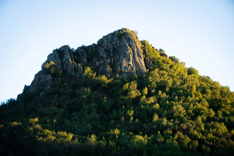 a very big steep mountain with some bushes on top