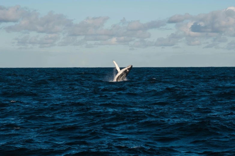 plane with landing gear in blue water with clouds