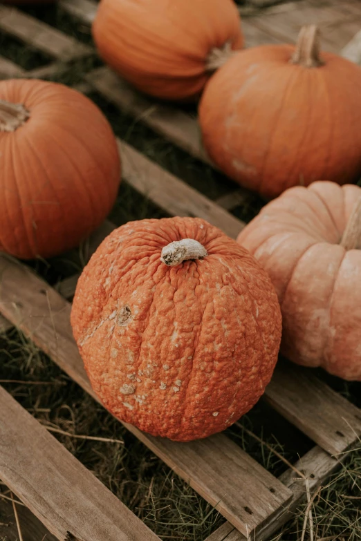 four orange and white pumpkins sitting on some wood