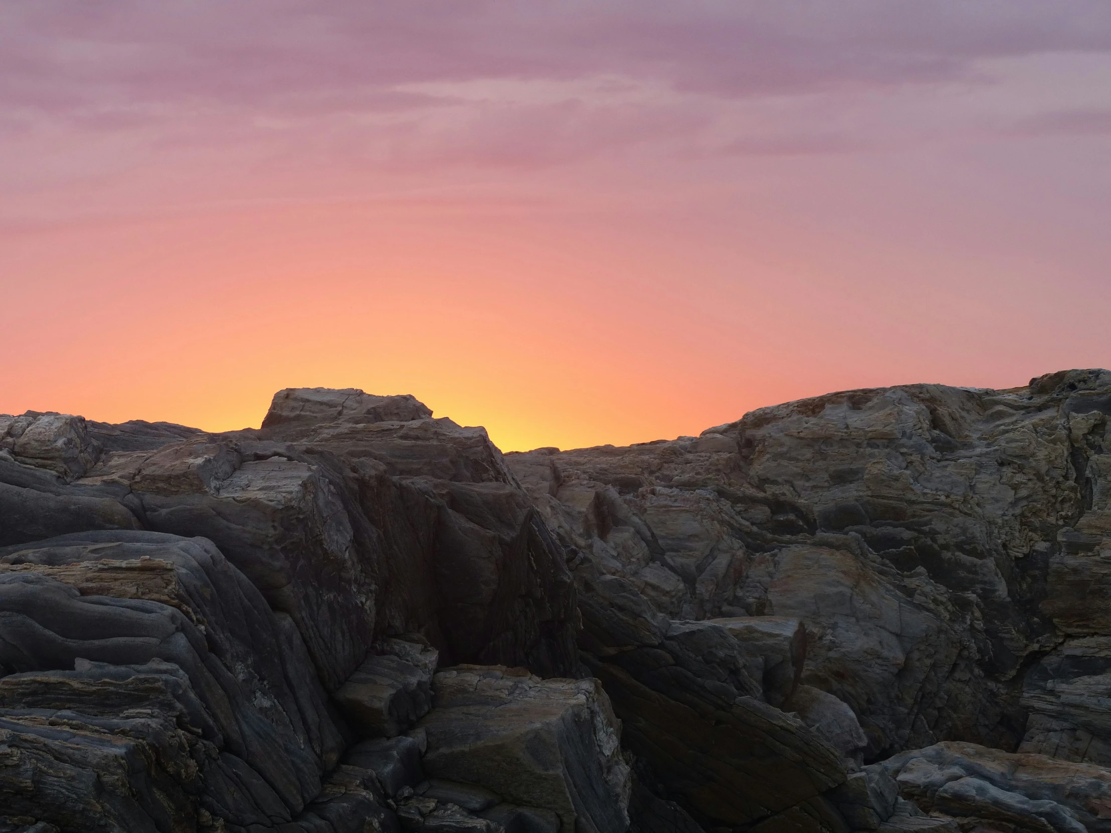 a couple of animals are walking along the rocky terrain