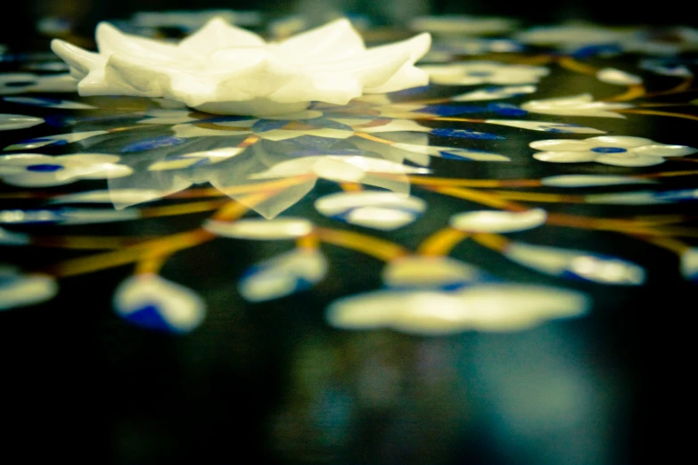 the surface has a pattern with white flowers