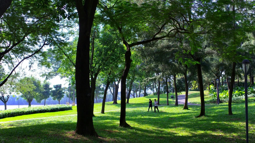 a man and woman walking through a park by the woods