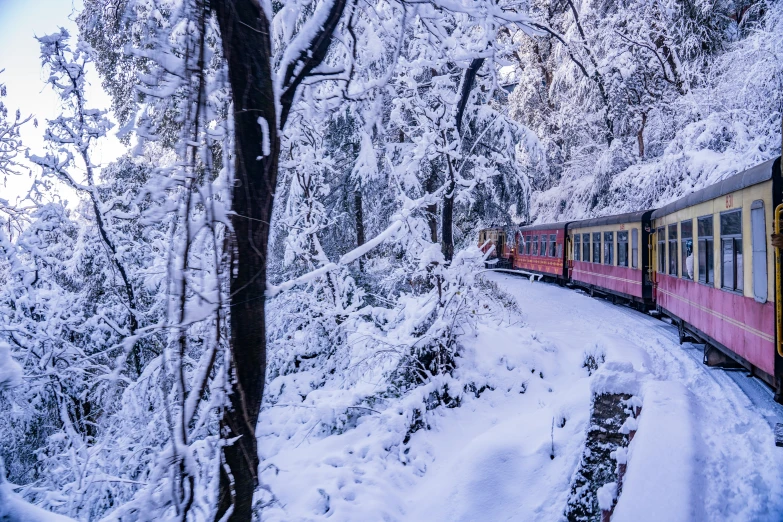 a long train traveling through a forest covered in snow