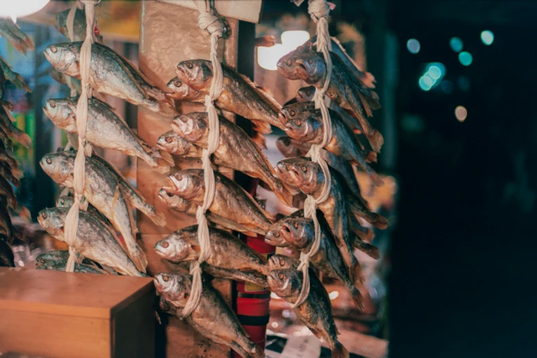 fresh fish hanging up in the air at a market