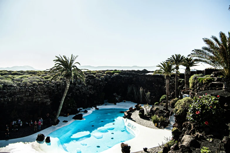 a large blue pool surrounded by palm trees