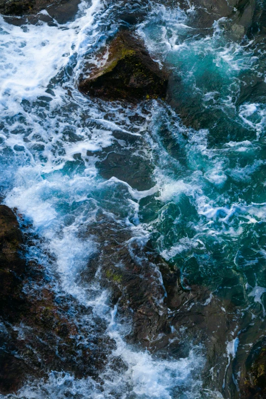 the bird is sitting on a rock with some water around it