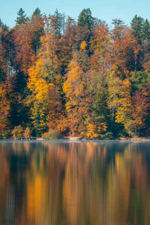 this is the fall leaves reflecting in the water