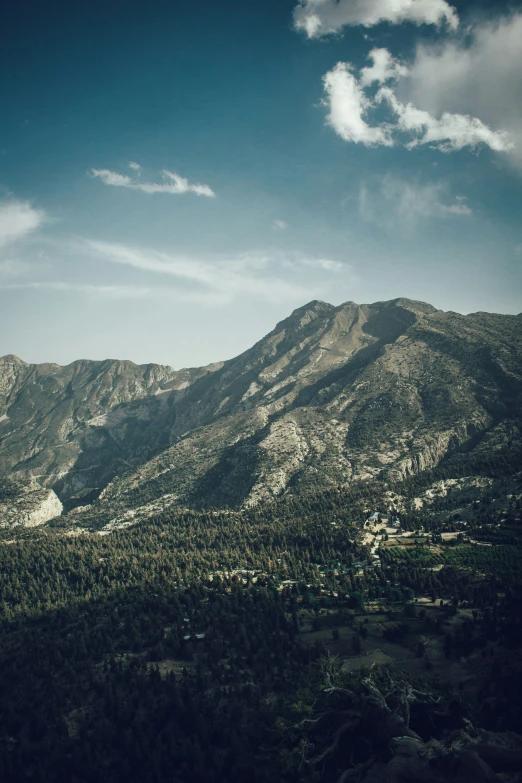 a landscape s shows trees and mountains in the distance