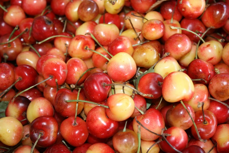 a large pile of many different fruits sitting together