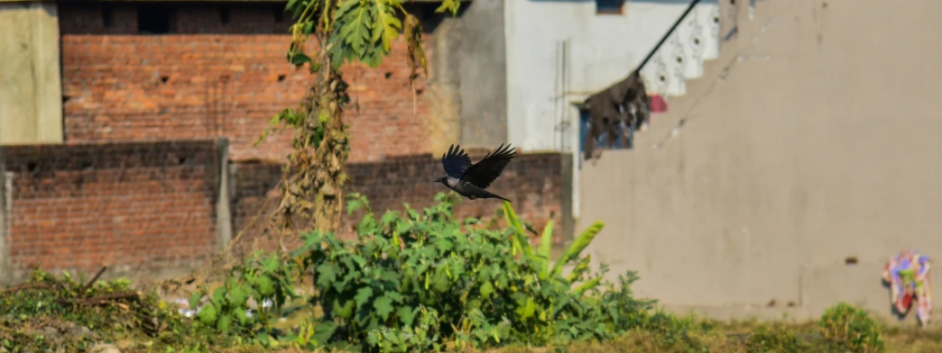 a bird flying through the air near a building