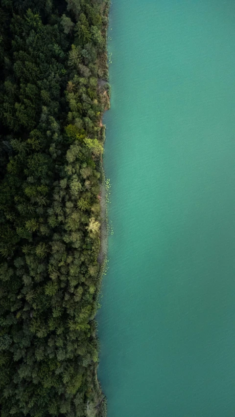 the water is incredibly blue and green next to trees