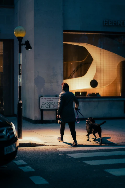 a man walking a dog on a leash