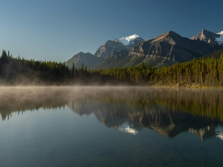 the fog rolls in from the water on the lake